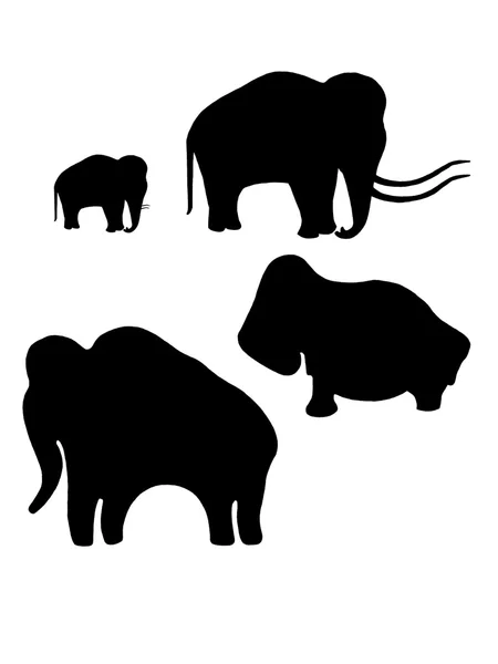 Mammoth — Stock Photo, Image