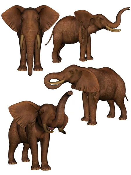Sett med fire elefanter . – stockfoto