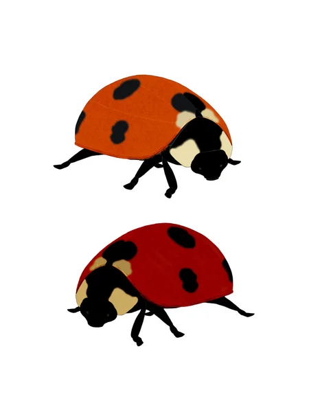 Illustration of a ladybug. — Stock Photo, Image