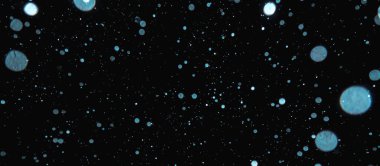 Arka planda bulanık kar taneleri. Kar yağışı efekti için resmi üstüste koy.