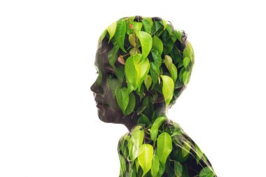 Bir çocuk yüzü silueti ve yeşil yapraklı bir resmin izole kombinasyonu. İnsanoğlu ve doğa arasındaki bağlantı kavramı, çevreye önem vermek.