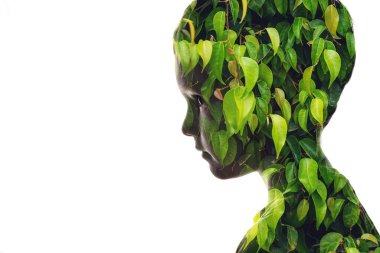 Bir çocuk yüzü silueti ve yeşil yapraklı bir resmin izole kombinasyonu. İnsanoğlu ve doğa arasındaki bağlantı kavramı, çevreye önem vermek.