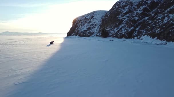 Wintervissen op het met sneeuw bedekte meer Baikal tegen de achtergrond van rotsen en heuvels. Een ijzige zonnige dag — Stockvideo