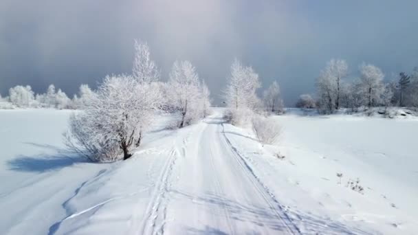 Ramos de árvores congeladas cobertos de neve branca. Maravilhas de inverno bonitas da natureza. Fundo de inverno — Vídeo de Stock