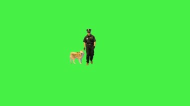 Genç beyaz polis köpeğiyle yeşil ekranda yürüyor, Chroma Key..