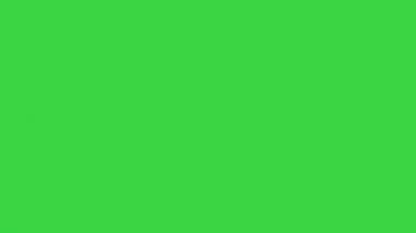 İnşaat işçisi yeşil ekranda bir karton kutuyla yürüyordu, Chroma Key..