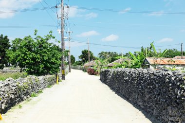 Peyzaj taketomi Island, Japonya