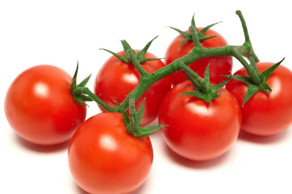 Kirschtomaten — Stockfoto