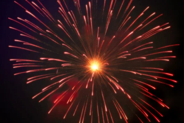 Firework — Stock Photo, Image