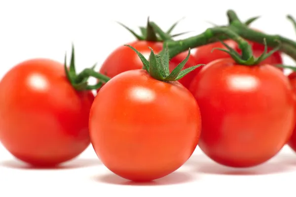 Kirschtomaten — Stockfoto