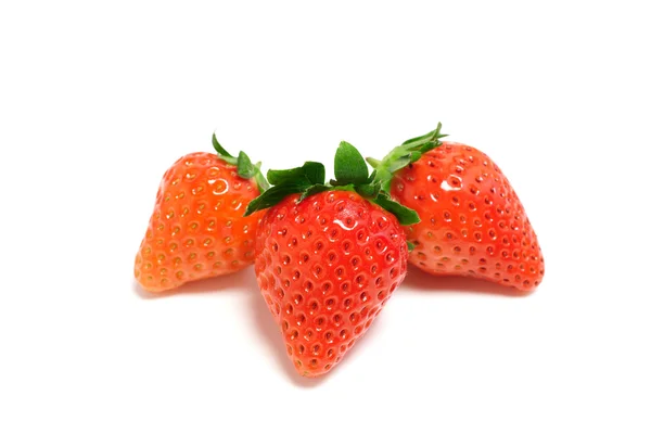 Strawberry — Stok Foto