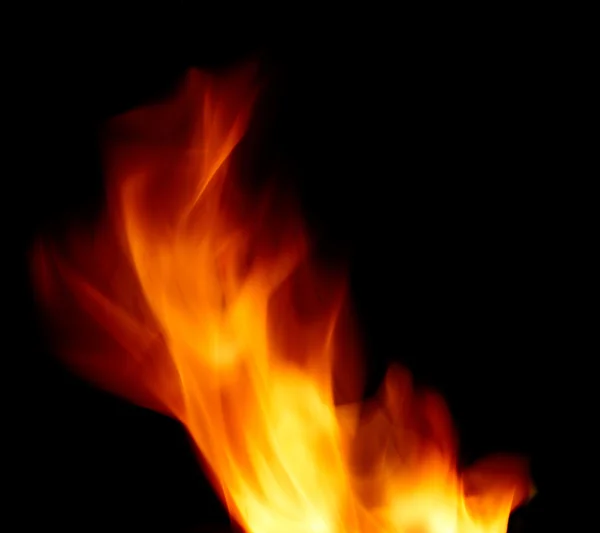 Flamme — Photo