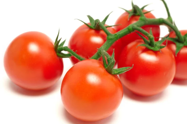 Tomate cereza —  Fotos de Stock