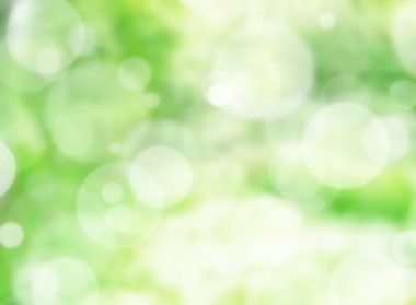 doğa bokeh ışıklar