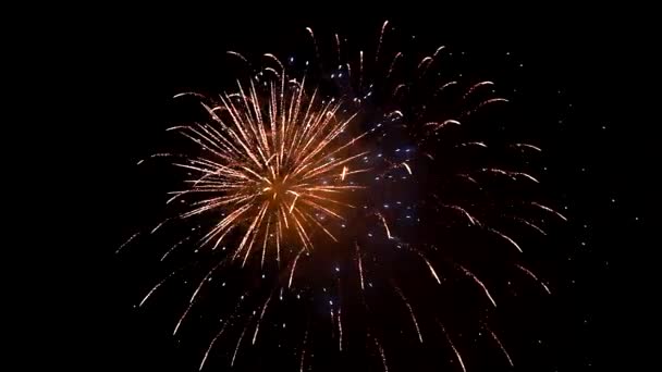 Fuochi artificiali — Video Stock