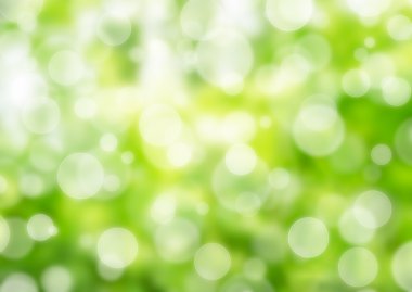 doğa bokeh ışıklar