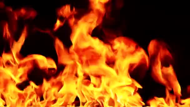 Flamme — Stockvideo