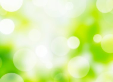 doğa bokeh ışıklar