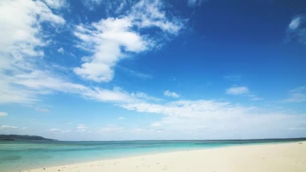 Calendário da paisagem marinha tropical — Vídeo de Stock