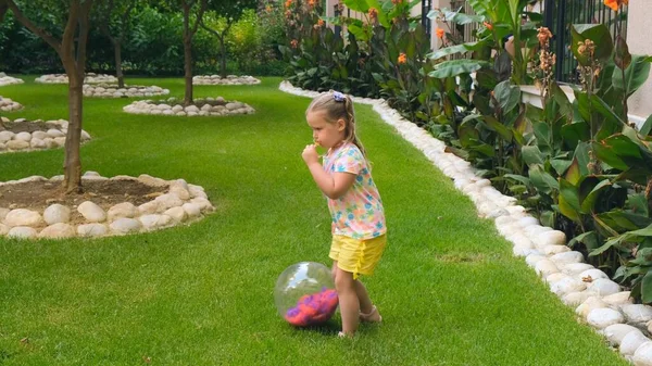 多色のTシャツと黄色のショートパンツを着て、彼女の頭の上に2つのポニーテールを持つ3歳の少女は、彼女の家の庭の緑の草原で多色のボールで遊んでいます。The — ストック写真