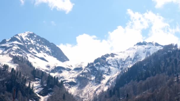 러시아 소치에 있는 크라스 노야 폴리네시아의 안개가 자생하는 산악 지역의 아름다운 풍경 — 비디오