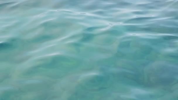 Close up of blue water surface in deep sea for background. Carrot water pattern — Stockvideo