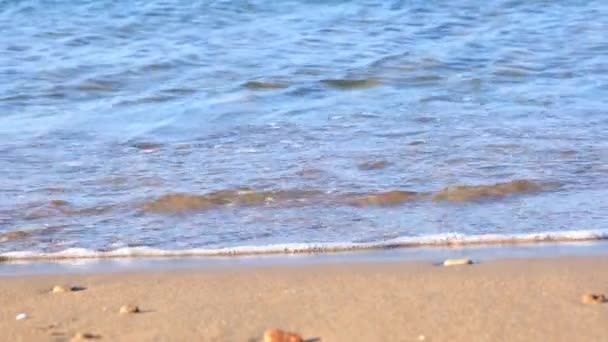 Miękka fala błękitnego morza na piaszczystej plaży w letni słoneczny dzień. — Wideo stockowe