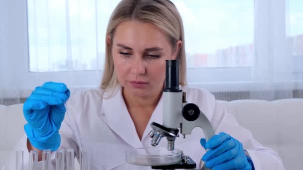 Női kutató vegyész tudós orvosi ruhában és védőkesztyűben végez kutatásokat mikropipettával és kémcsővel ellátott mintákon, hogy mikroszkóp alatt laboratóriumi körülmények között dolgozhasson. — Stock videók
