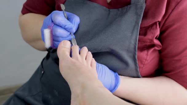 Giovane donna ottenere pedicure professionale nel salone di bellezza — Video Stock