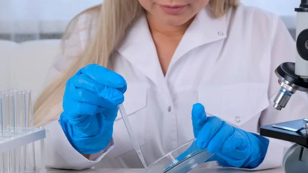 Assistante scientifique de laboratoire utilise des micropipettes pour remplir les éprouvettes dans un grand laboratoire moderne, pour examen au microscope. — Photo