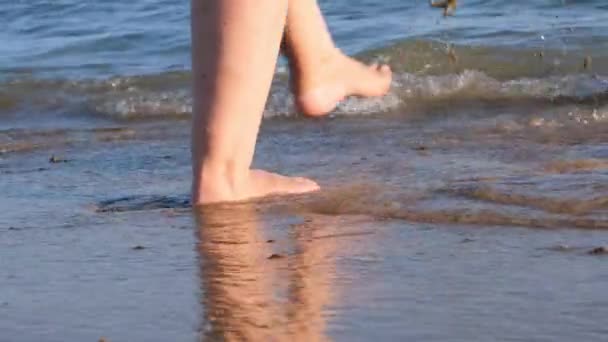 Érett női lábak sétálnak a homokos tengerparton, és fröccsenő a tengerben egy nyári napsütéses napon. A nő mezítláb sétál a vízen közelről. — Stock videók