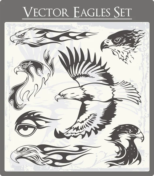 Flaming Eagle Vector Illustrations Set — Stock Vector