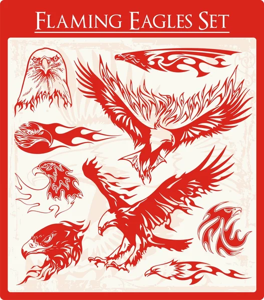 Conjunto de ilustrações de vetores de águia flamejante —  Vetores de Stock