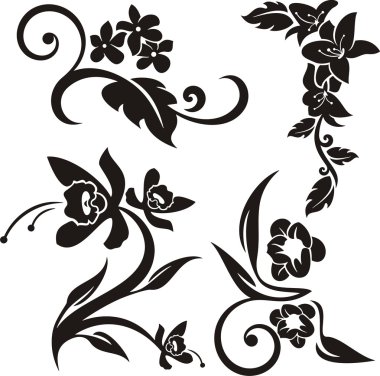 4 çiçek tasarım öğeleri kümesi.