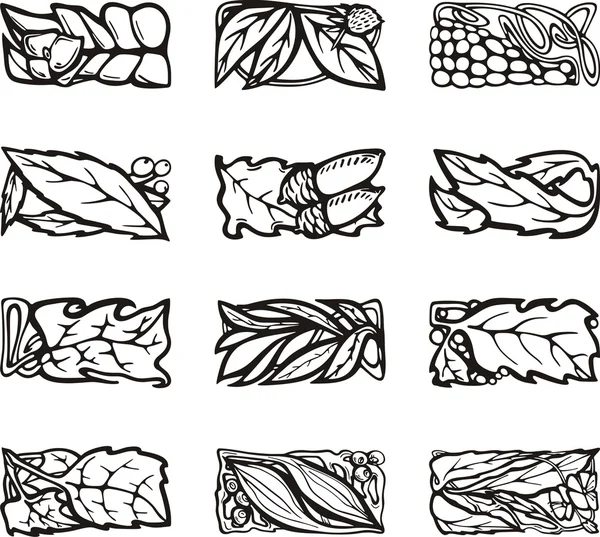 Elementos de diseño de rectángulo floral, serie vectorial . — Vector de stock