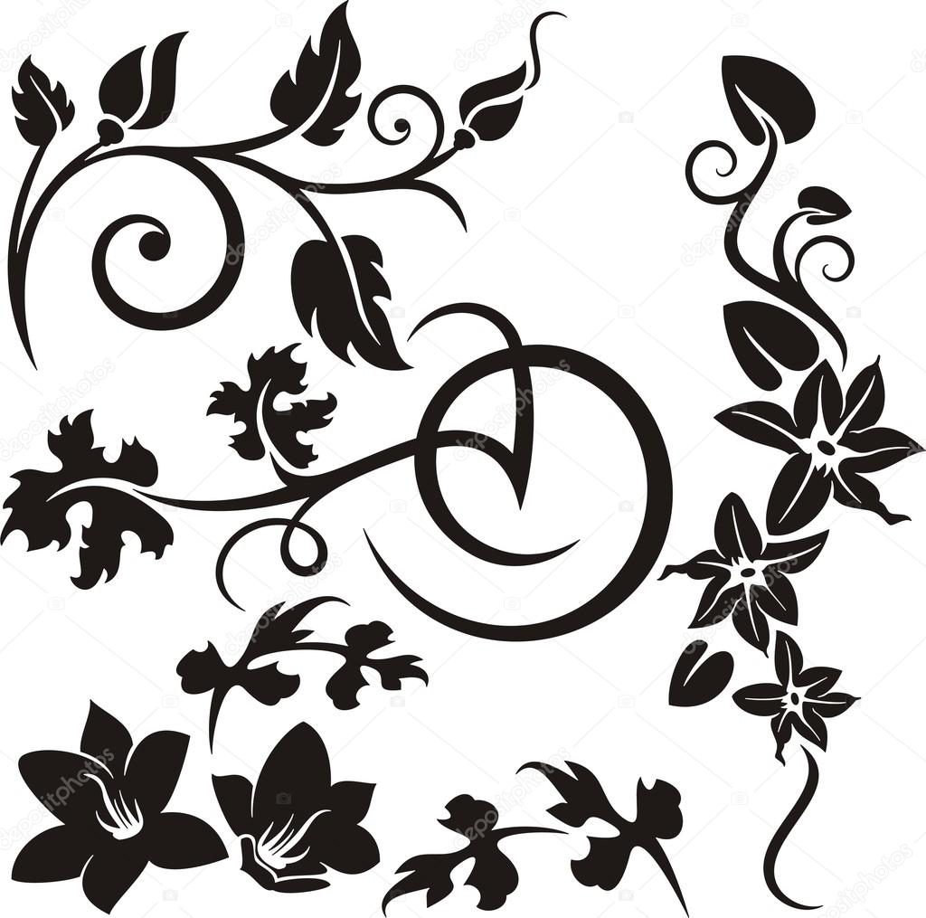 A set of 5 floral design elements.
