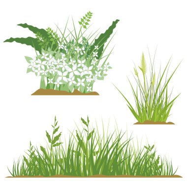 vektör çizim serisi çimen çiçek tasarım öğeleri kümesi.