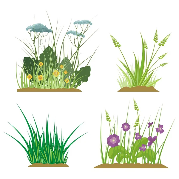 Zbiór kwiatów i trawa elementów projektu, seria ilustracji wektorowych. — Wektor stockowy