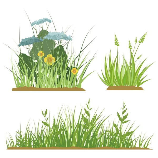 A set of floral and grass design elements, vector illustration series. — Stock Vector