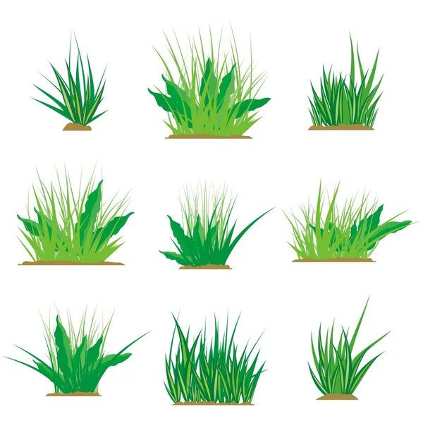 Un conjunto de elementos de diseño de hierba floral, serie de ilustración vectorial . — Archivo Imágenes Vectoriales