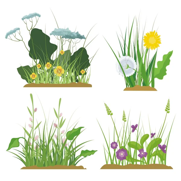 Un conjunto de elementos de diseño floral y de hierba, serie de ilustración vectorial . — Vector de stock