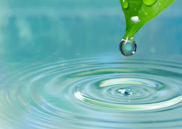 Feuille verte avec goutte d'eau — Photo