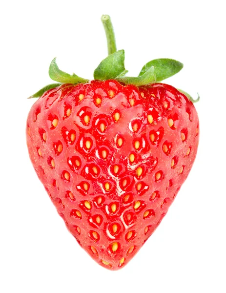 Strawberry — Stock Photo, Image