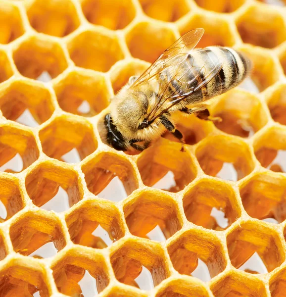 Werkende bij — Stockfoto