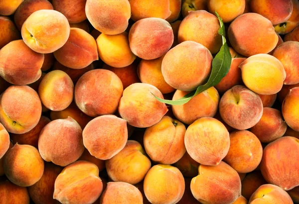 Fresh ripe peaches — Stock Photo, Image