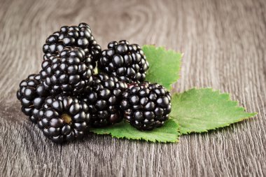blackbarries yaprak