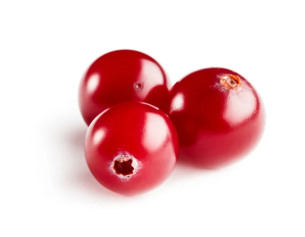 Tiga cranberry matang — Stok Foto
