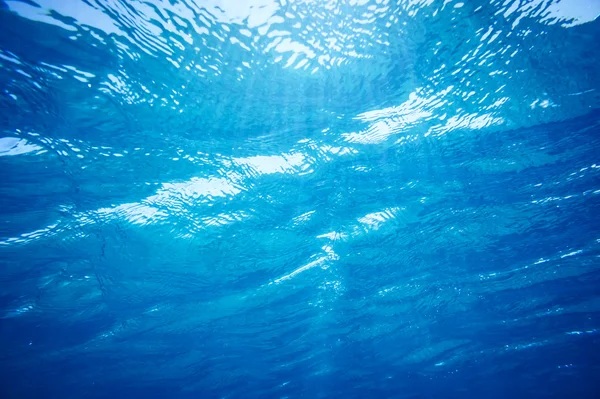 Underwater background — Stock Photo, Image