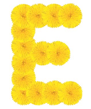 Dandelions yapılan harf e