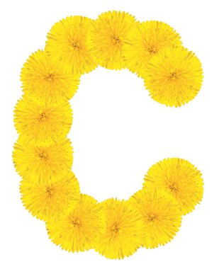 Dandelions yapılan harf c